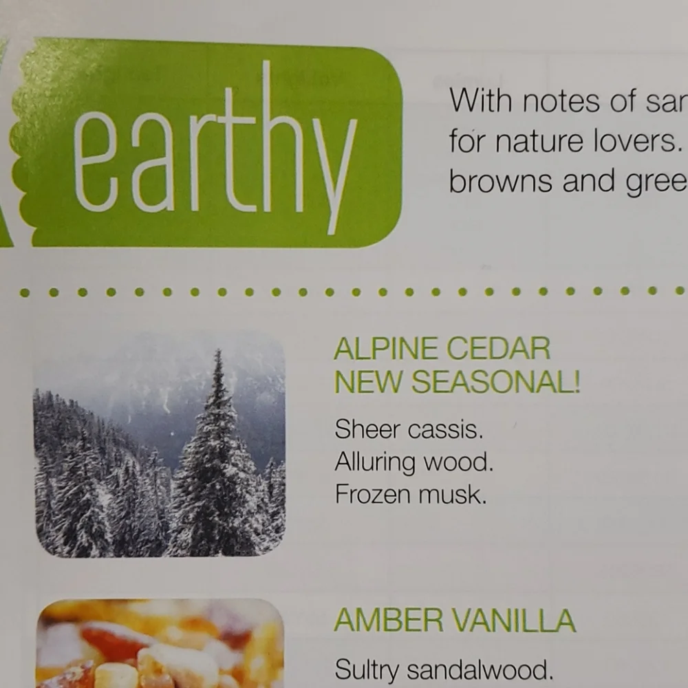 ALPINE CEDAR Med/16‎ oz 2-wick Gold Canyon candle
